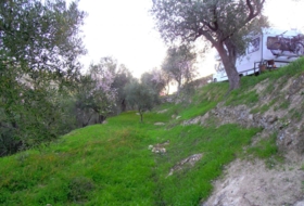 Foto 8