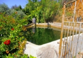 Chalet independiente con terreno en venta en Órgiva ref: TR14827 foto