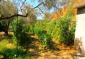 Chalet independiente con terreno en venta en Órgiva ref: TR14827 foto