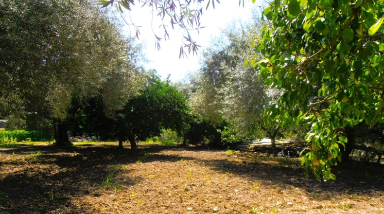 Granada - Los Tablones - 4443m2