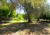 Chalet independiente con terreno en venta en Órgiva ref: TR14827 foto