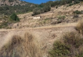 Finca rústica en venda a Soportújar ref.: TR187472 foto