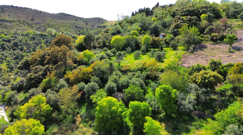 Granada - Carataunas - 30700m2