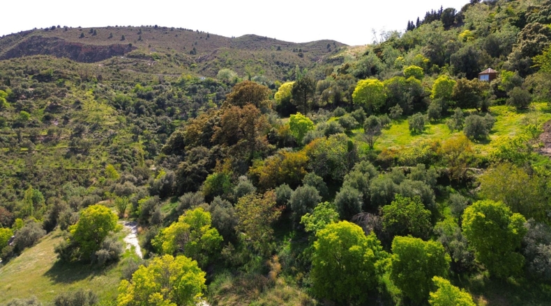 Granada - Carataunas - 30700m2