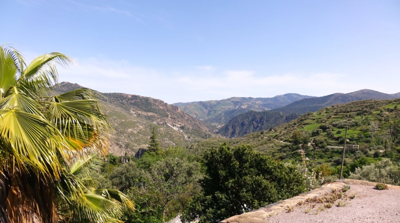 Granada - Carataunas - 30700m2
