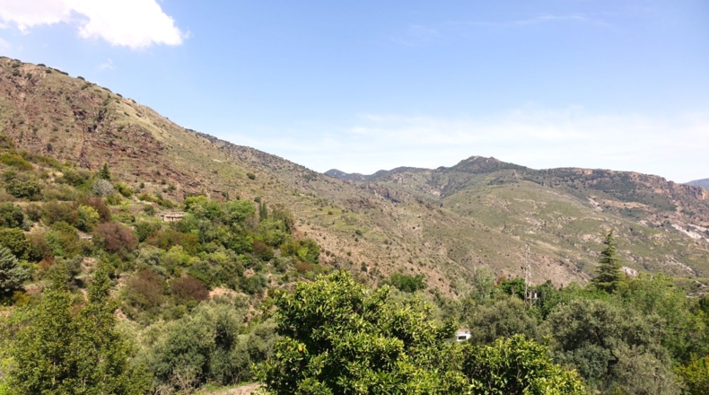Granada - Carataunas - 30700m2