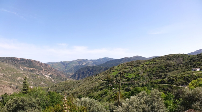 Granada - Carataunas - 30700m2