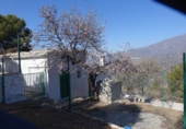 Finca rústica en venta en Órgiva ref: TR31214 foto