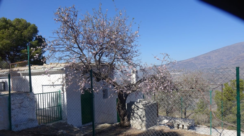 Granada - Los Tablones - 130000m2