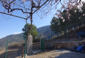 Foto 17