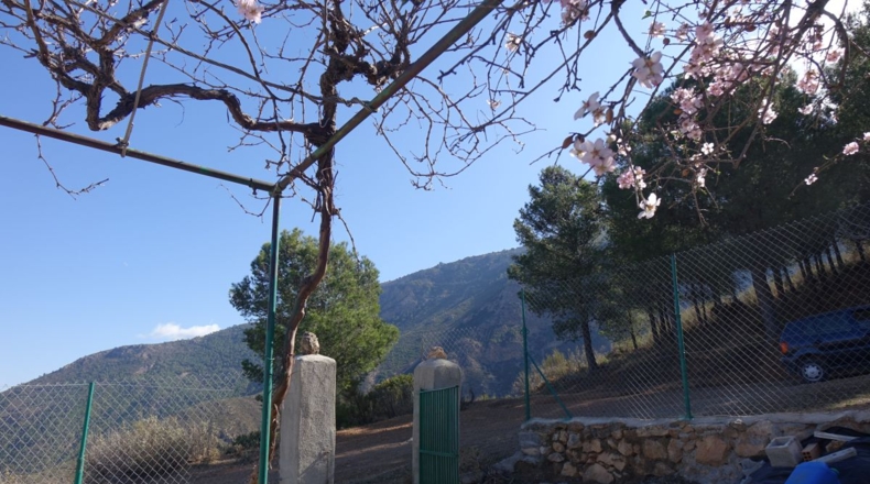 Granada - Los Tablones - 130000m2
