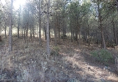 Finca rústica en venta en Órgiva ref: TR31214 foto