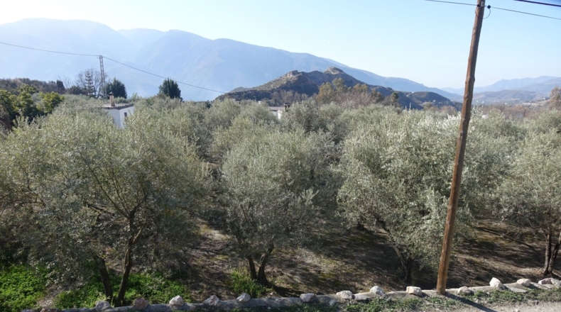 Granada - Los Tablones - 2500m2