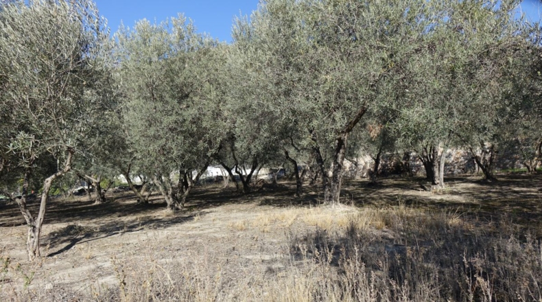 Granada - Los Tablones - 2500m2