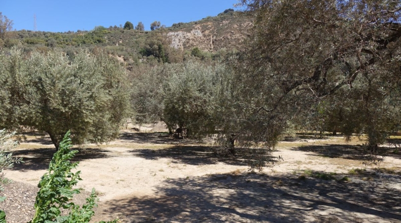 Granada - Los Tablones - 3250m2