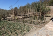 Chalet independiente con terreno en venta en Órgiva ref: TR48509 foto