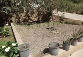 Chalet independiente con terreno en venta en Órgiva ref: TR48509 foto