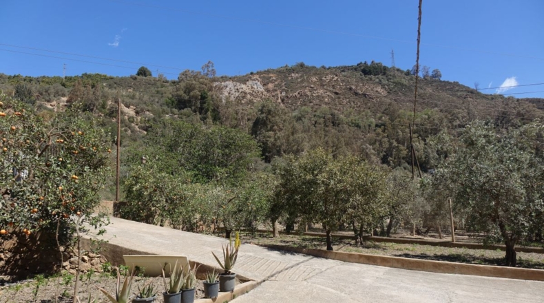 Granada - Los Tablones - 3250m2