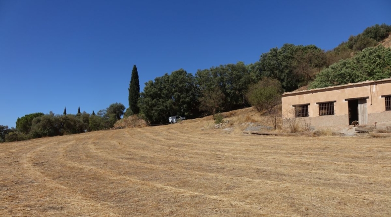 Granada - Los Tablones - 6000m2