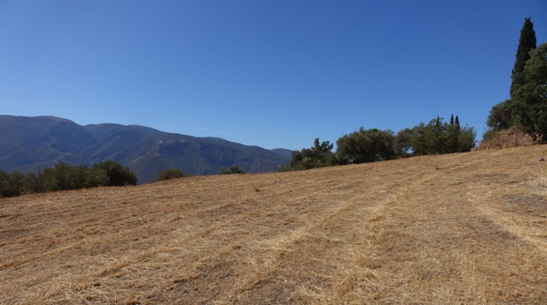 Granada - Los Tablones - 6000m2