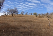 Finca rústica en venta en Lanjarón ref: TR62590 foto