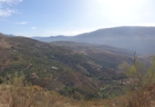 Finca rústica en venta en Lanjarón ref: TR62590 foto