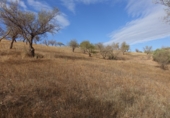 Finca rústica en venta en Lanjarón ref: TR62590 foto