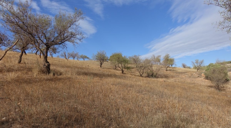 Granada - Lanjarón - 13800m2