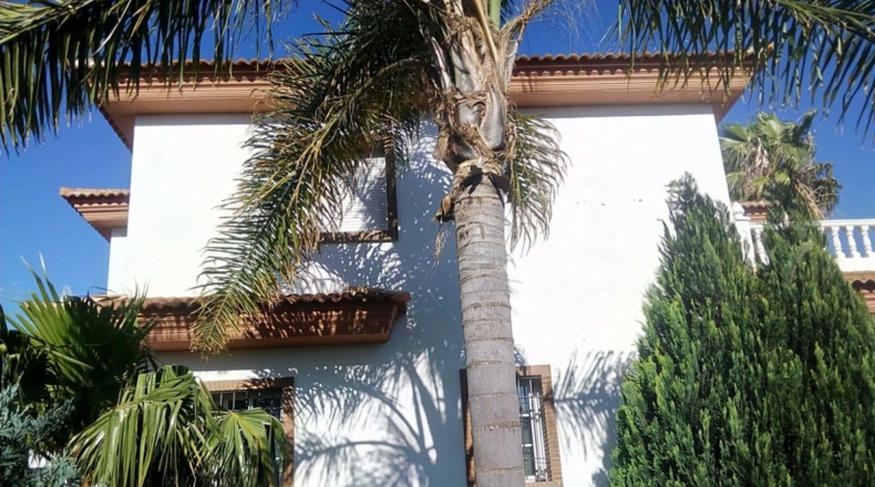 Granada - Órgiva - 1910m2