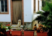 Chalet independiente con terreno en venta en Órgiva ref: TR75688 foto
