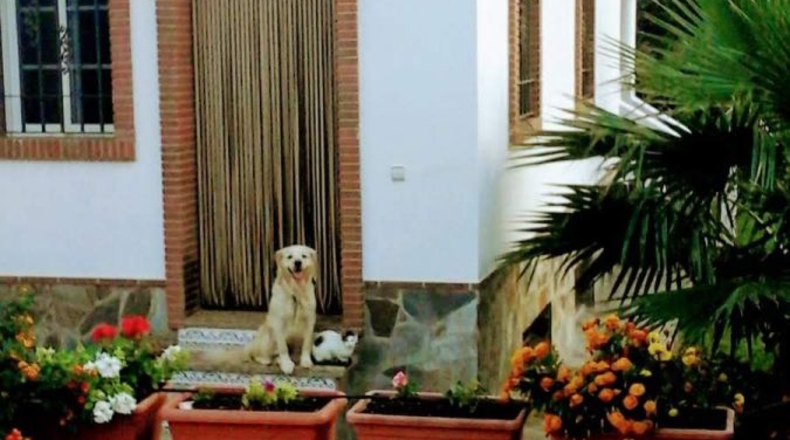 Granada - Órgiva - 1910m2