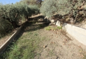 Chalet independiente con terreno en venta en Órgiva ref: TR87457 foto
