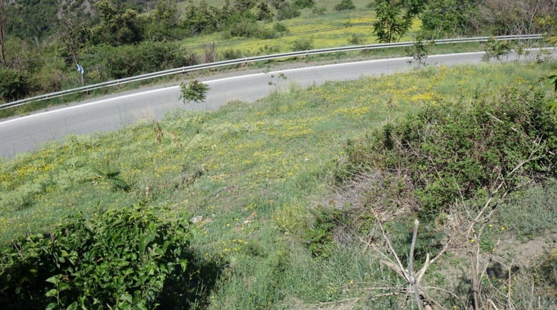 Granada - Capileira - 1211m2