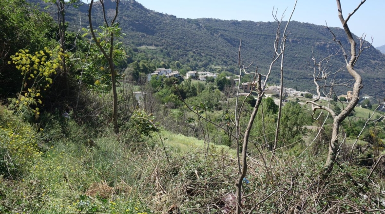Granada - Capileira - 1211m2
