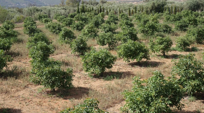 Granada - Órgiva - 63m2