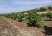 Terreno no urbanizable en venta en Órgiva ref: TR100754 foto