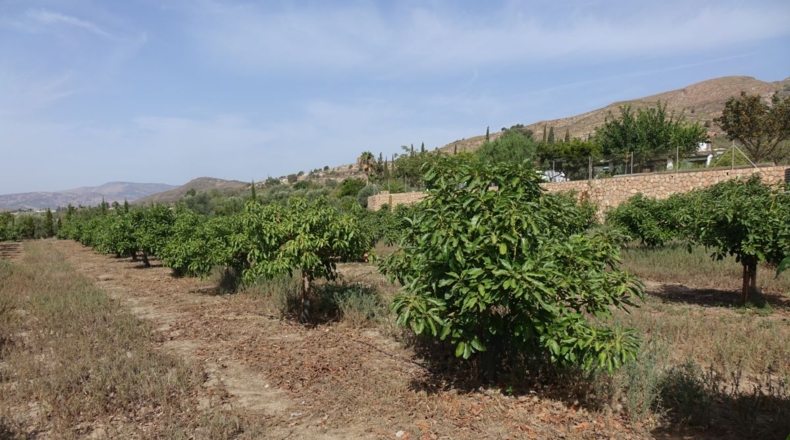 Granada - Órgiva - 63m2