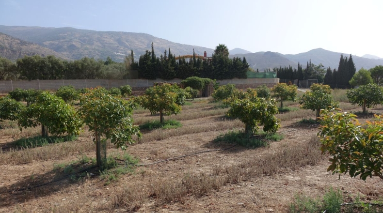 Granada - Órgiva - 63m2