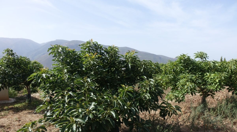 Granada - Órgiva - 63m2