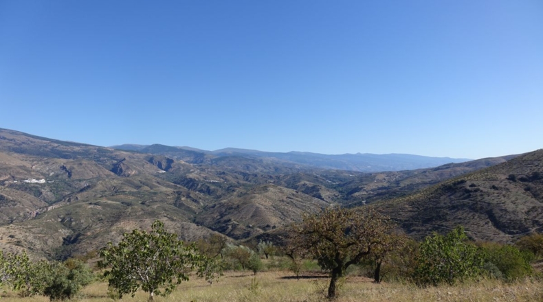 Granada - Torvizcón - 52381m2