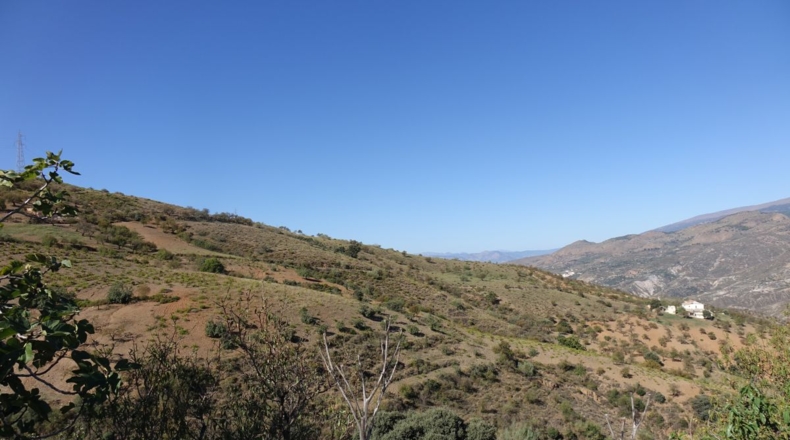 Granada - Torvizcón - 44090m2