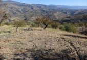 Xalet independent amb terreny en venda a Torvizcón ref.: TR92424 foto
