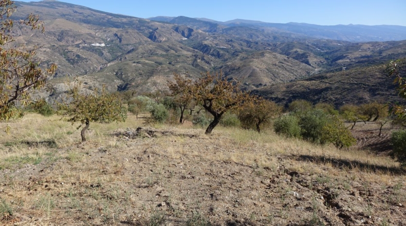 Granada - Torvizcón - 44090m2