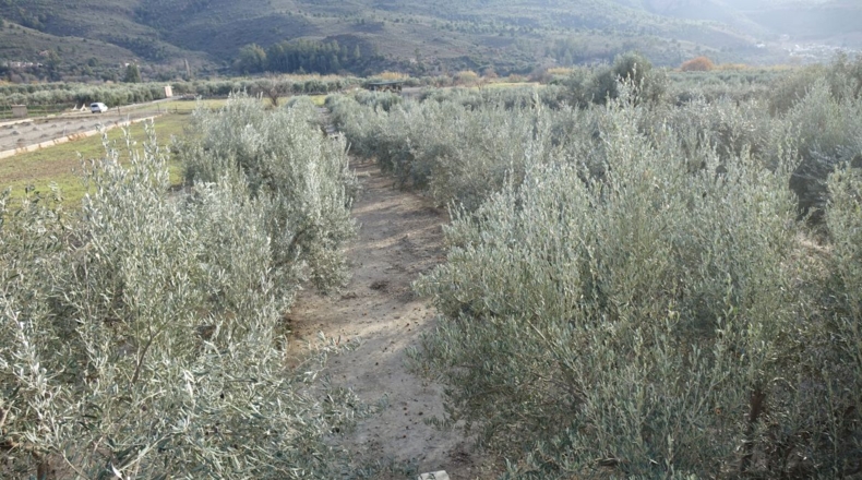 Granada - Órgiva - 2954m2