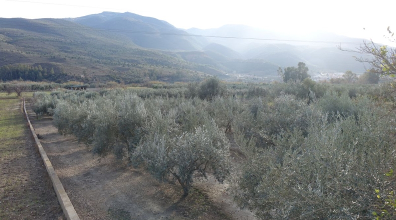 Granada - Órgiva - 2954m2