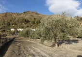 Terreno no urbanizable en venta en Órgiva ref: TR104806 foto