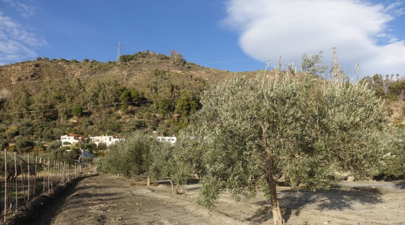 Granada - Órgiva - 2954m2
