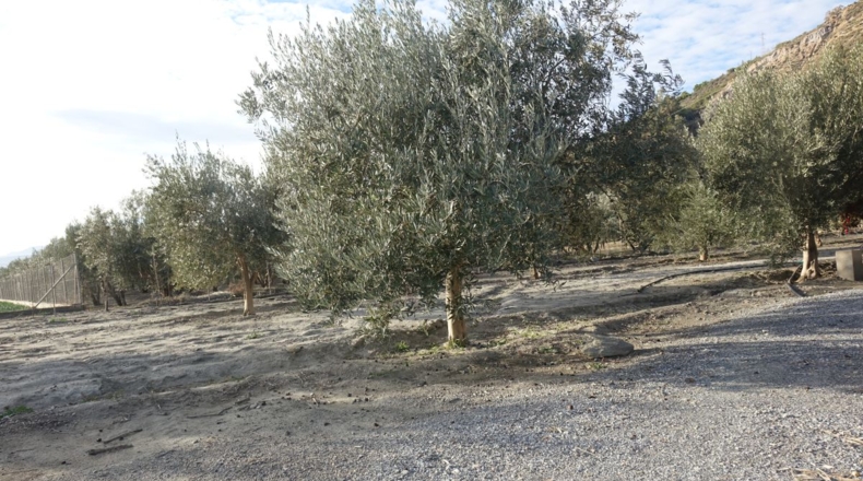 Granada - Órgiva - 2954m2