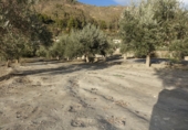 Terreno no urbanizable en venta en Órgiva ref: TR104806 foto