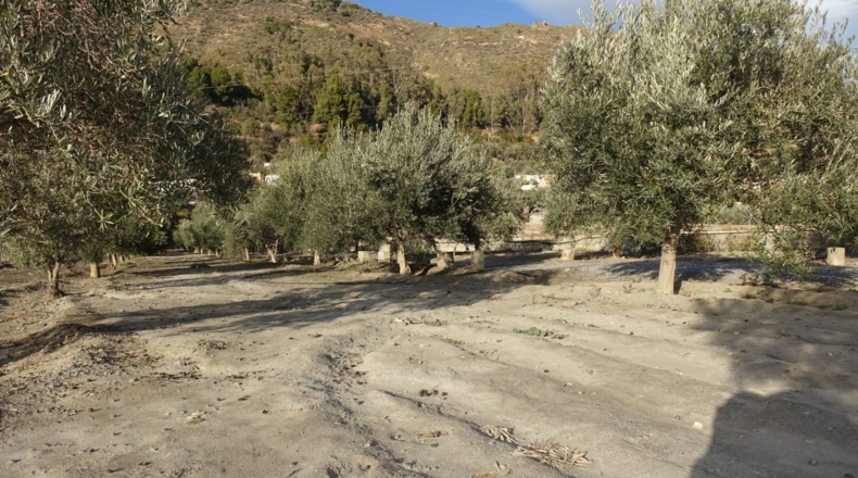 Granada - Órgiva - 2954m2